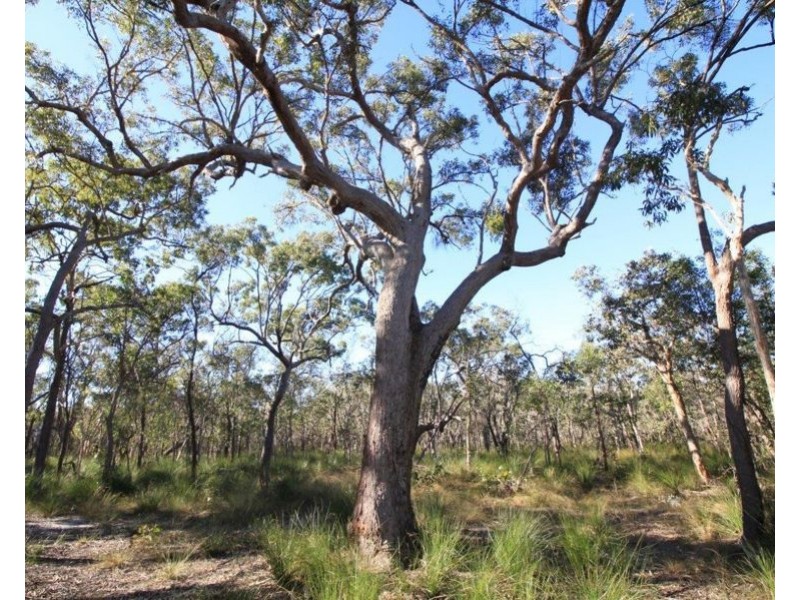 Lot 32 Lindy Drive, Rules Beach QLD 4674