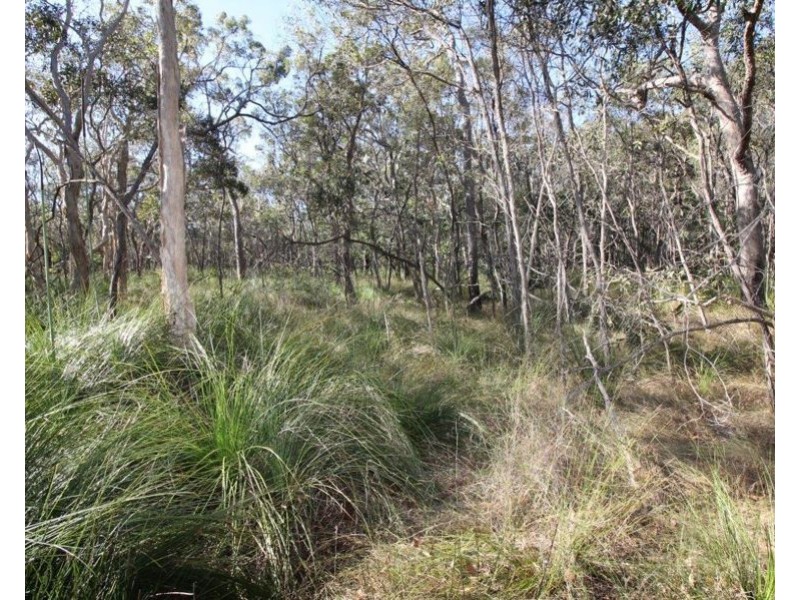 Lot 32 Lindy Drive, Rules Beach QLD 4674