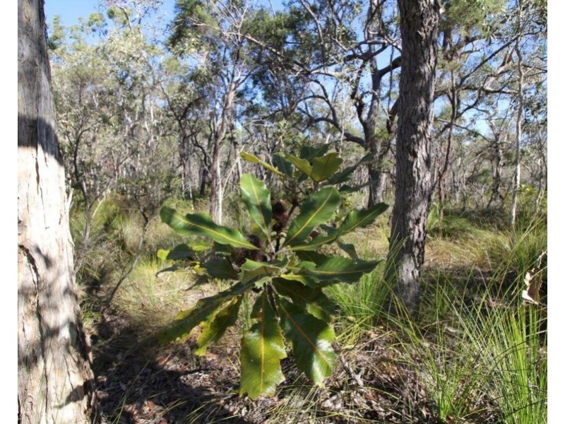 Lot 32 Lindy Drive, Rules Beach QLD 4674