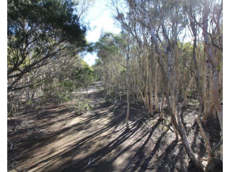 Lot 32 Lindy Drive, Rules Beach QLD 4674