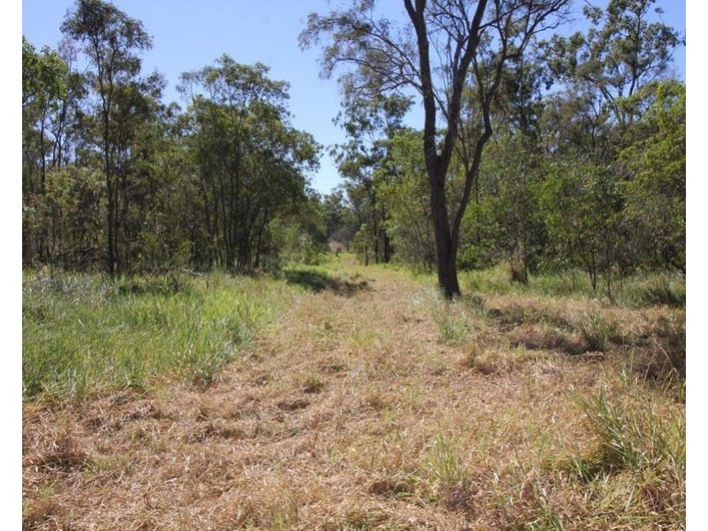 33 Taunton Road, Euleilah QLD 4674