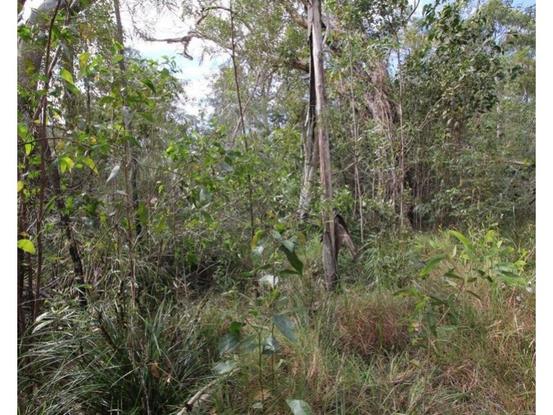 Lot 91 Pacific Drive, Deepwater QLD 4674