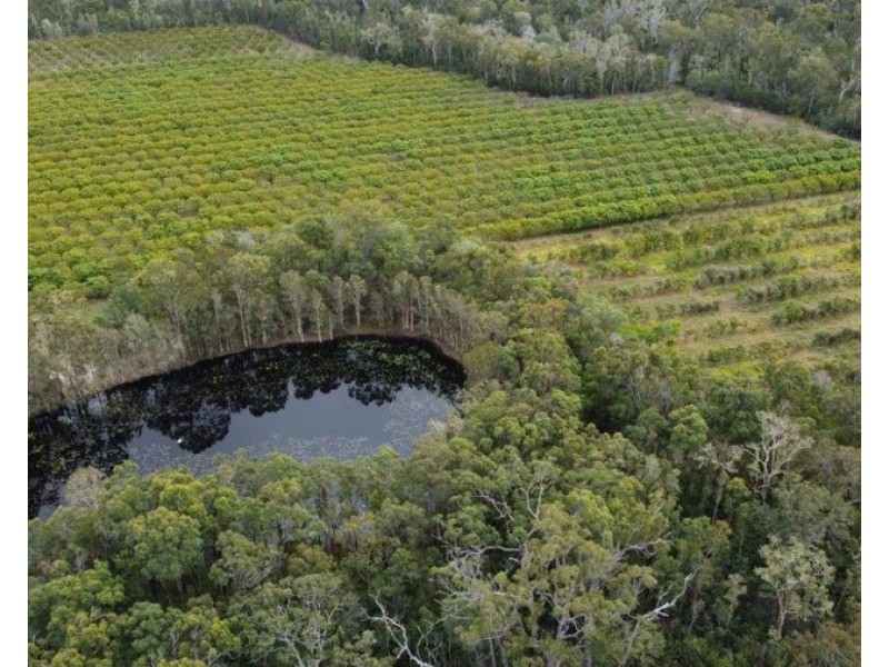 Lot 90 Pacific Drive, Deepwater QLD 4674