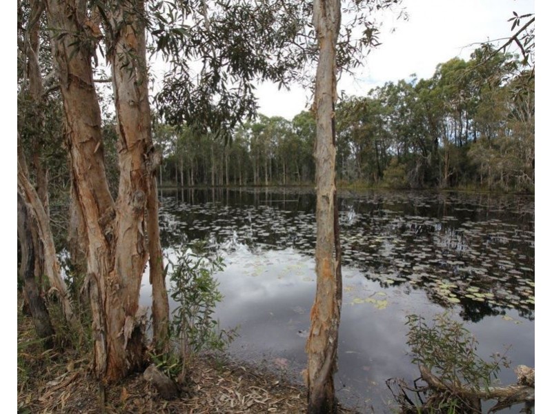 Lot 90 Pacific Drive, Deepwater QLD 4674