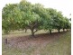 Lot 90 Pacific Drive, Deepwater QLD 4674