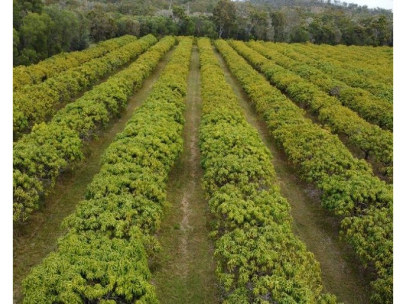 Lot 90 Pacific Drive, Deepwater QLD 4674
