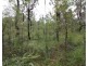 Lot 90 Pacific Drive, Deepwater QLD 4674