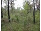 Lot 90 Pacific Drive, Deepwater QLD 4674