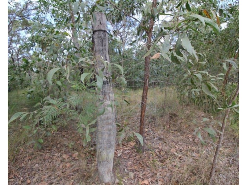 Lot 90 Pacific Drive, Deepwater QLD 4674