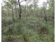 Lot 90 Pacific Drive, Deepwater QLD 4674
