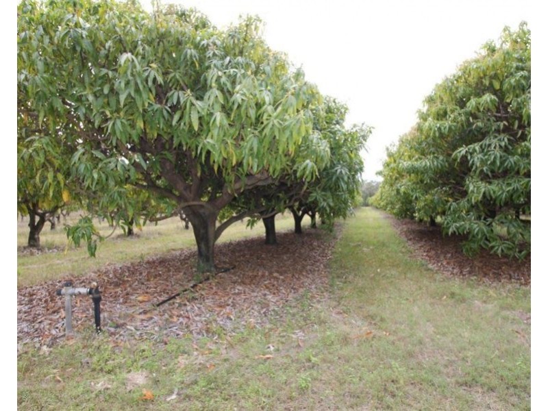 Lot 90 Pacific Drive, Deepwater QLD 4674
