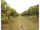 Lot 90 Pacific Drive, Deepwater QLD 4674