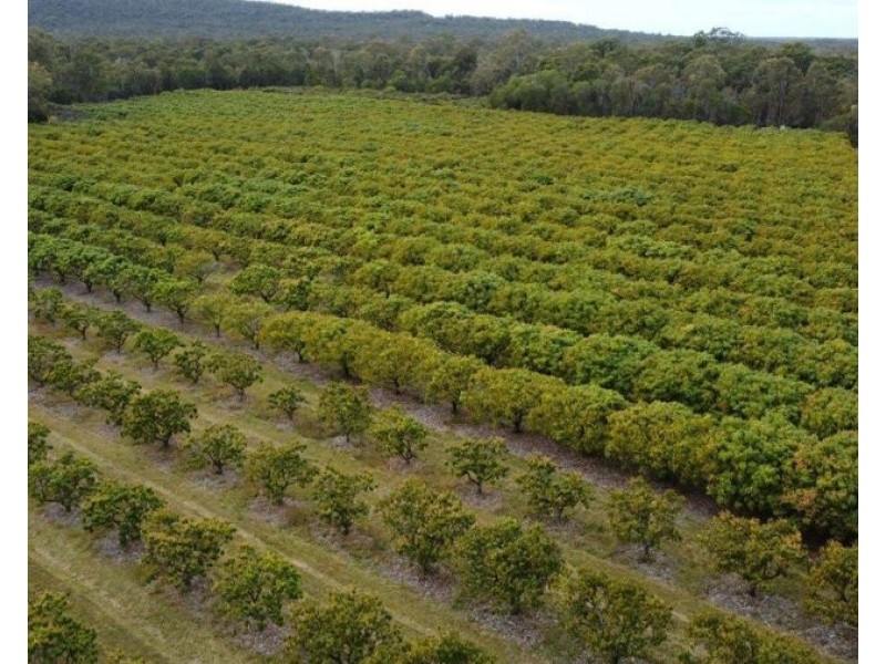 876 Pacific Drive, Deepwater QLD 4674