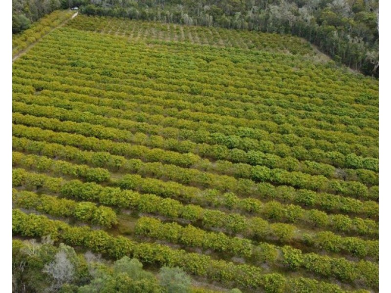 876 Pacific Drive, Deepwater QLD 4674