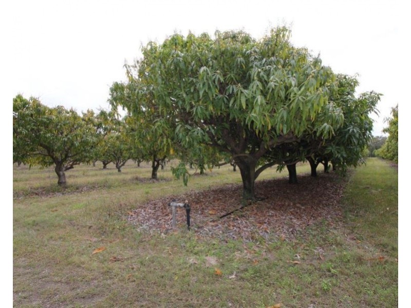 876 Pacific Drive, Deepwater QLD 4674