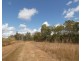 430 Blackmans Gap Road, Colosseum QLD 4677