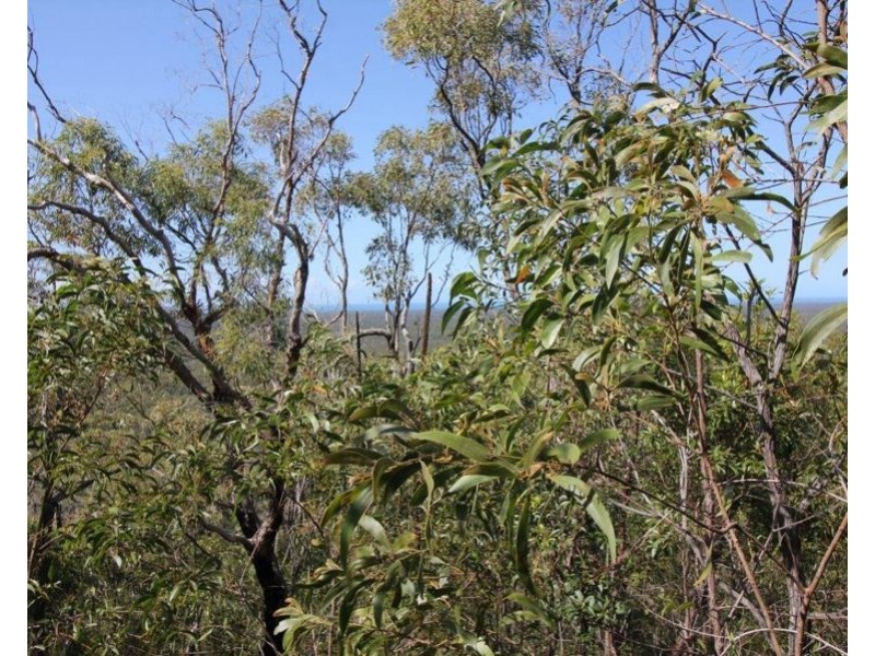 492 Capricornia Drive, Deepwater QLD 4674