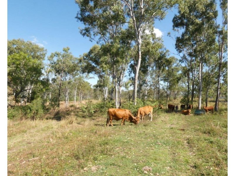 986 Gorge Road, Taunton QLD 4674