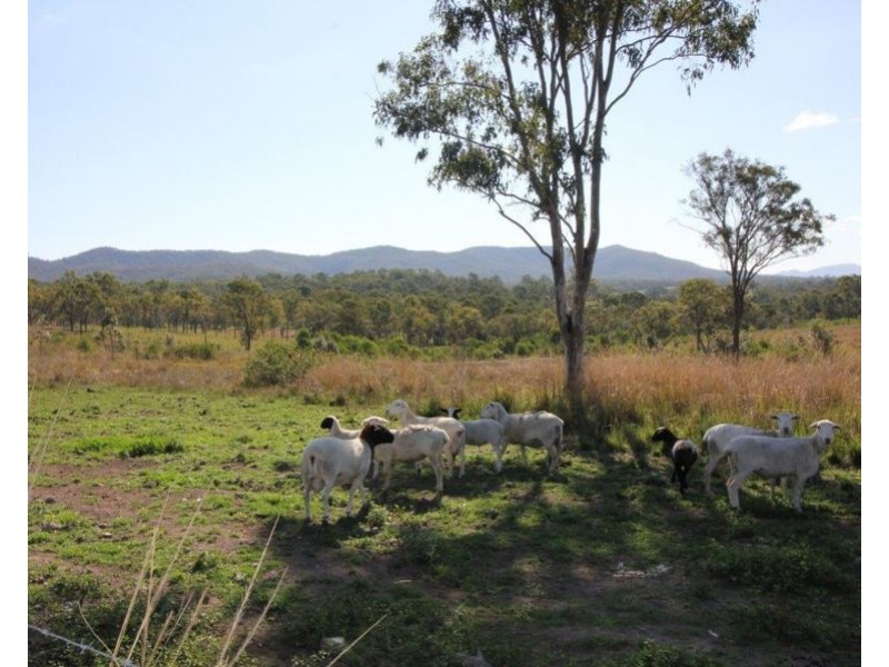 986 Gorge Road, Taunton QLD 4674