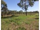 259 Taunton Road, Euleilah QLD 4674