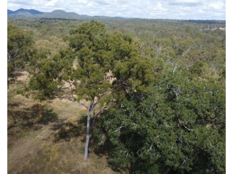 259 Taunton Road, Euleilah QLD 4674
