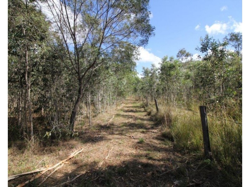259 Taunton Road, Euleilah QLD 4674