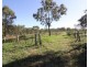 259 Taunton Road, Euleilah QLD 4674