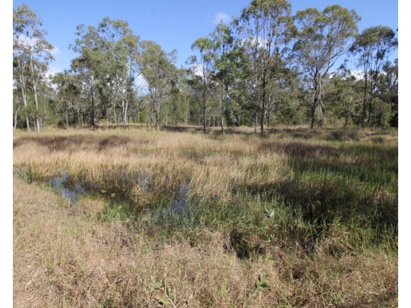 259 Taunton Road, Euleilah QLD 4674