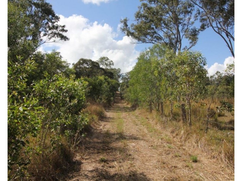 259 Taunton Road, Euleilah QLD 4674