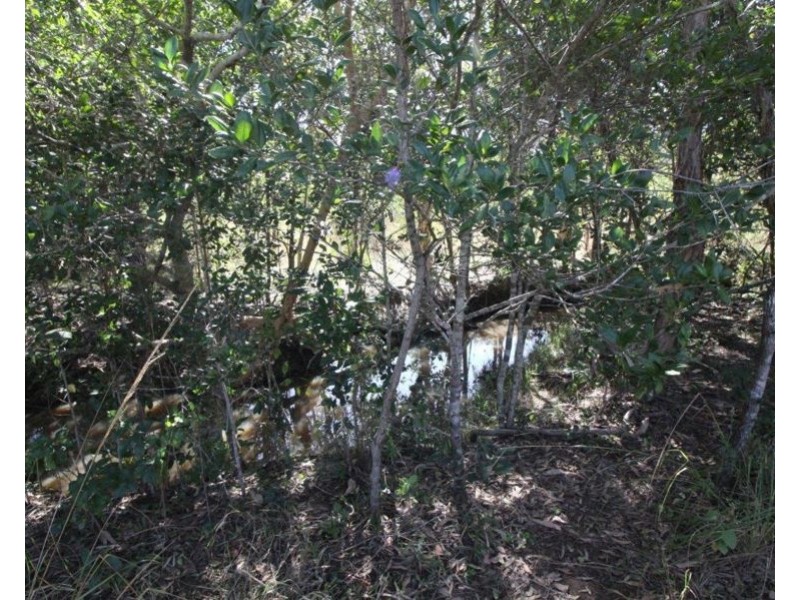 259 Taunton Road, Euleilah QLD 4674