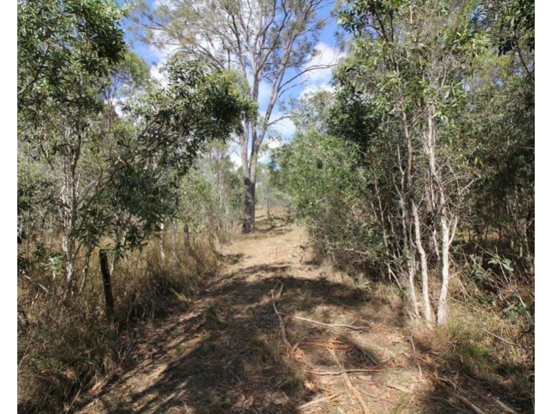 259 Taunton Road, Euleilah QLD 4674