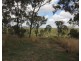 259 Taunton Road, Euleilah QLD 4674