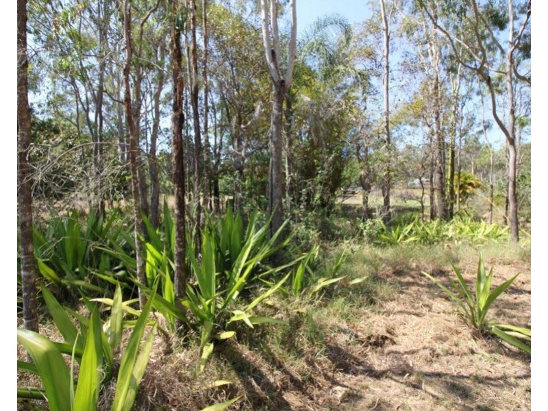 20 James Street, Rosedale QLD 4674