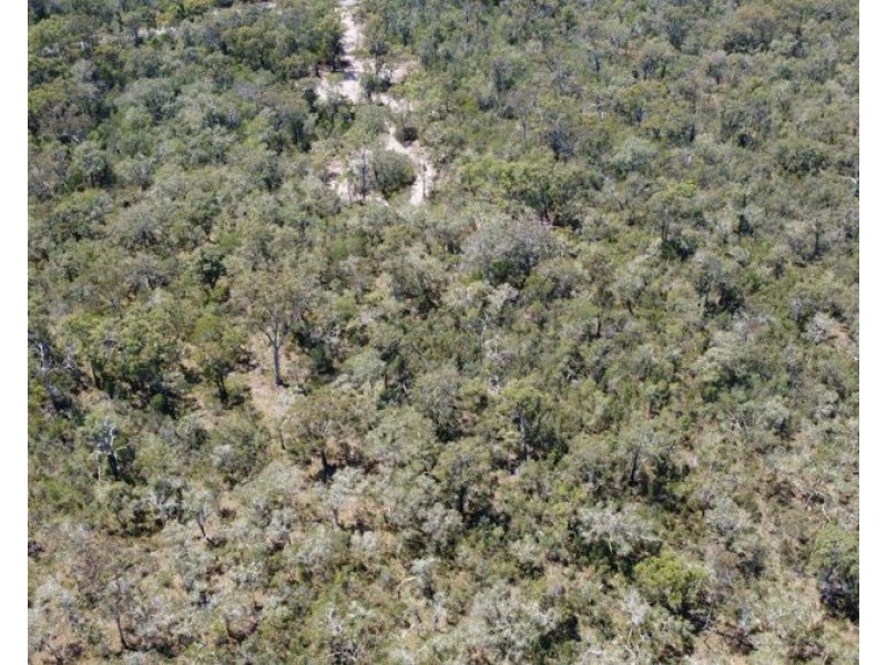 Lot 139 Capricornia Drive, Deepwater QLD 4674