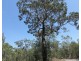 Lot 139 Capricornia Drive, Deepwater QLD 4674