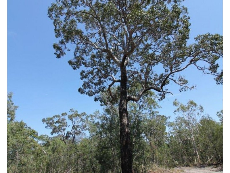 Lot 139 Capricornia Drive, Deepwater QLD 4674