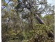 Lot 139 Capricornia Drive, Deepwater QLD 4674