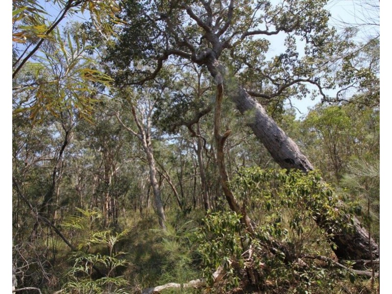 Lot 139 Capricornia Drive, Deepwater QLD 4674