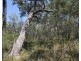 Lot 139 Capricornia Drive, Deepwater QLD 4674