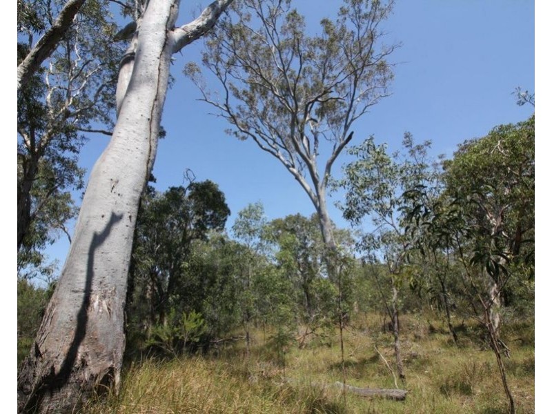 Lot 139 Capricornia Drive, Deepwater QLD 4674