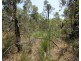 Lot 139 Capricornia Drive, Deepwater QLD 4674