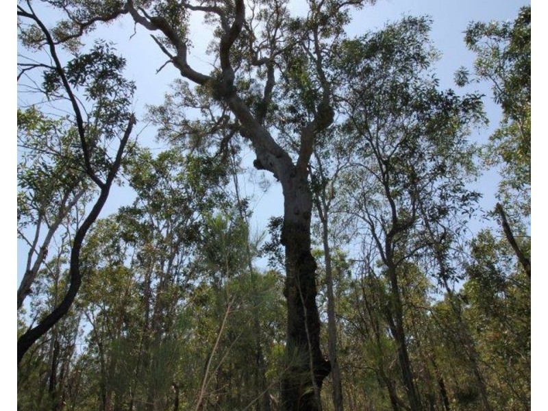 Lot 139 Capricornia Drive, Deepwater QLD 4674
