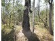 Lot 139 Capricornia Drive, Deepwater QLD 4674