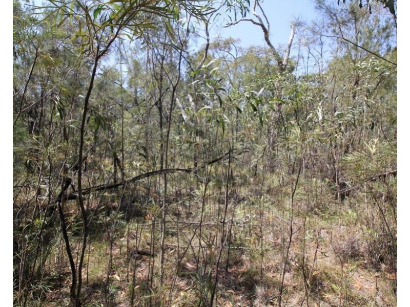 Lot 139 Capricornia Drive, Deepwater QLD 4674