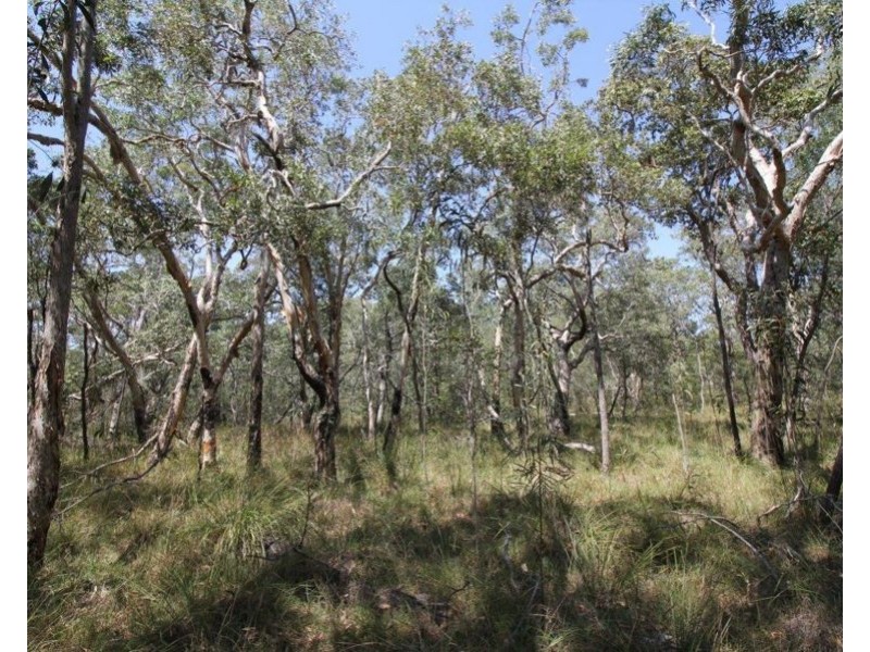 Lot 139 Capricornia Drive, Deepwater QLD 4674