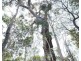Lot 139 Capricornia Drive, Deepwater QLD 4674
