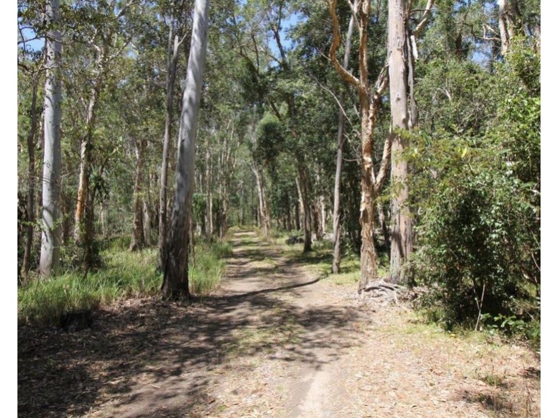 87 Kassman Drive, Rosedale QLD 4674