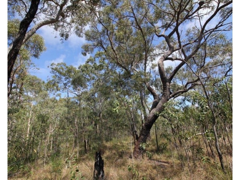 255 Pacific Drive, Deepwater QLD 4674