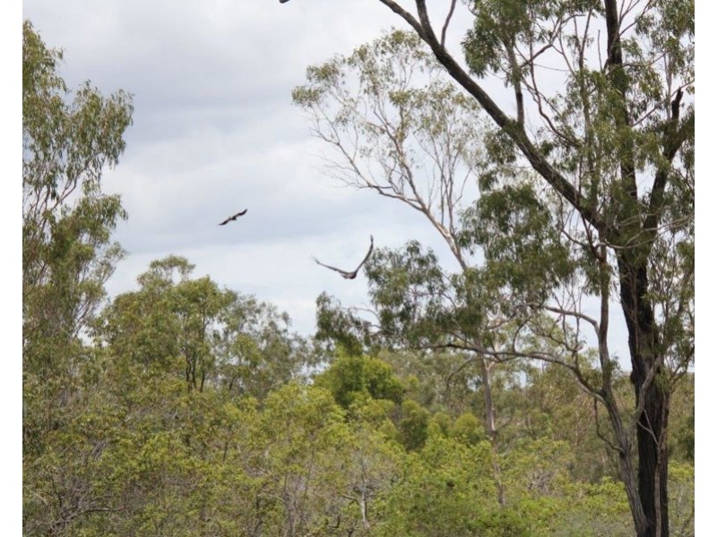 Lot 74 Cattle Station Road, Rosedale QLD 4674
