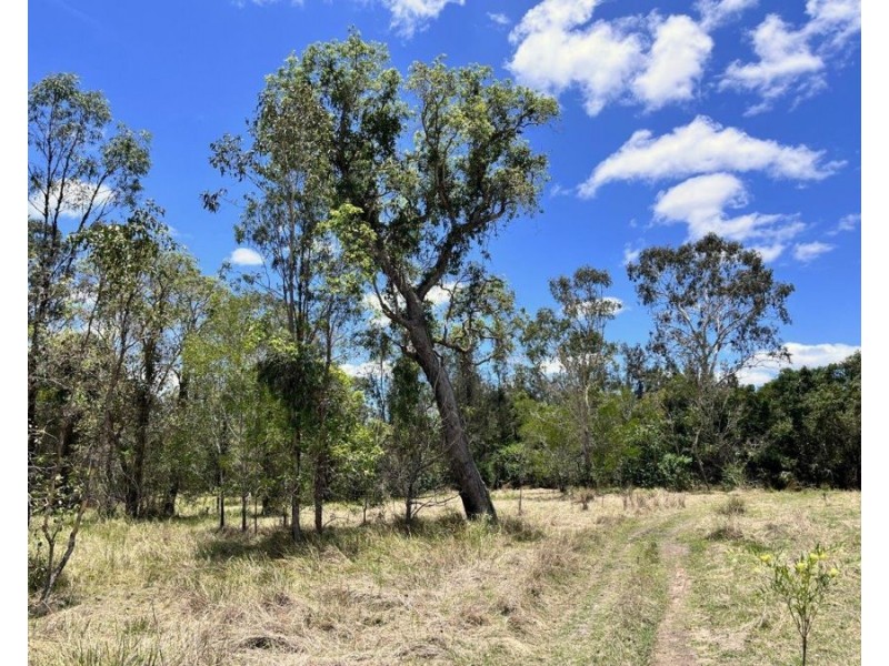 Lot 74 Cattle Station Road, Rosedale QLD 4674